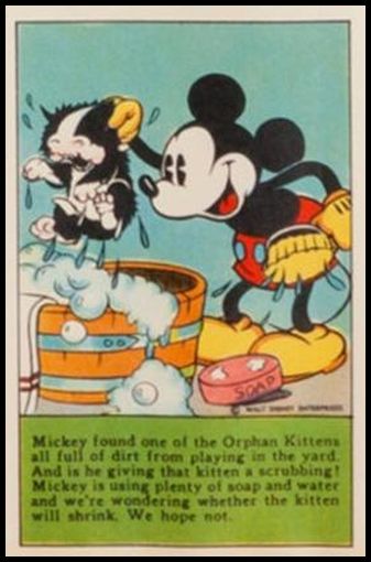 Mickey Found One